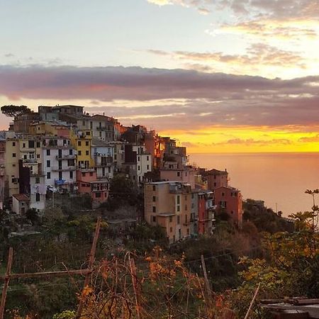 Terre Apartment Corniglia Buitenkant foto