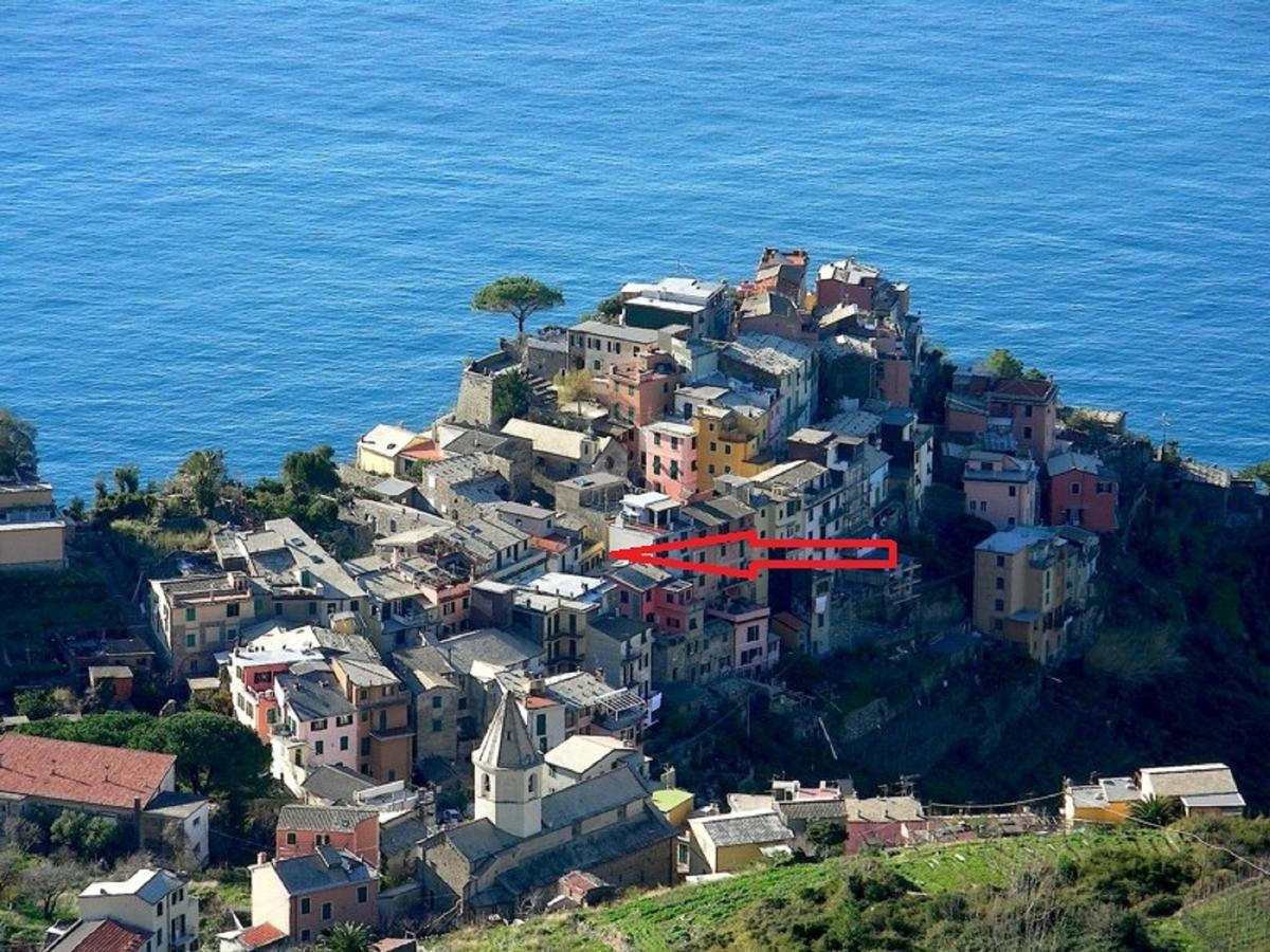 Terre Apartment Corniglia Buitenkant foto